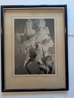 Framed black and white floral photograph with mat and black frame