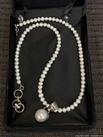 Full view of necklace coiled in case showing clasp and pendant