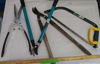 Group shot of four pruning tools