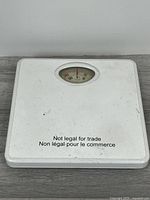 Top view of entire scale