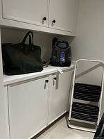 Wide shot showing Bissell cleaner, canvas tote bag, and folding step ladder together on/near cabinet