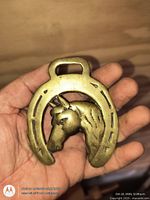 Front view of solid brass horse head within horseshoe buckle held in hand
