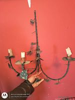 Full view of metal wall sconce showing three arms and decorative leaves