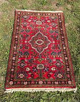 Full overhead view of the entire rug showing design and overall condition