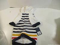 Front view of striped pet hoodie showing hood, sleeves and hem