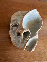 front view showing facial contours