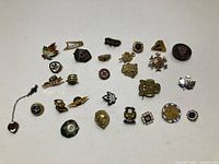 all 30 pins laid out on white surface