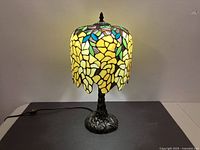 Lamp lit showing full view with cord