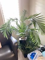 Tall artificial palm plant in black resin planter beside chair