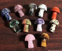 Group shot of all 11 stone mushrooms on wood surface