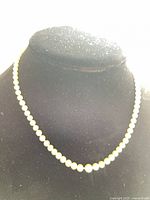 Necklace displayed on bust form