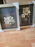 two framed floral prints with protective corners