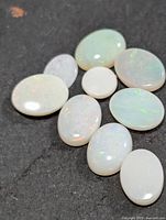 Nine oval cabochon opals on dark background