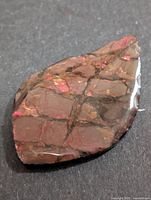 Front view of polished ammolite cabochon showing red iridescent mosaic surface