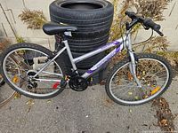 Full left-side view of silver and purple Supercycle mountain bicycle leaning against stacked tires