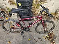 Left side profile of SuperCycle Storm mountain bike showing overall condition