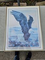 Full view of framed bald eagle poster
