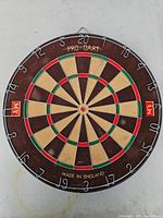 Front view of Pro-Dart dartboard showing segments, wiring, brand marking and wear