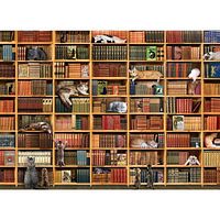 Box art showing cat library illustration