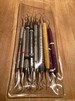 All 13 dental instruments in clear sleeve