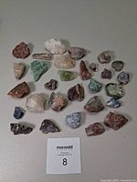 Full layout of all rock, mineral and fossil pieces