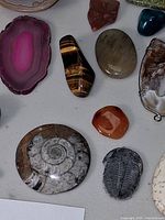 Group of stones showing agate slice, fossils, tiger’s-eye, quartz, carnelian