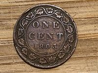 Reverse of 1903 Canada one cent showing denomination and date within maple-leaf vine