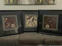 Three framed Songbird prints displayed together