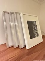 Group shot of all four frames standing, showing finishes