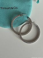 Both mesh hoop earrings on Tiffany pouch