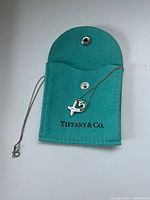 Necklace and Tiffany pouch displayed
