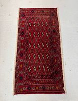 Full view of rug showing overall design and fringe