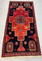 Full view of entire rug showing pattern and fringe