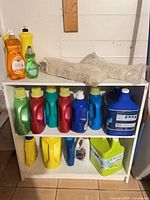 Full shelving unit with assorted detergents, dish soaps, bleach, stain remover, large jugs, and two mop heads