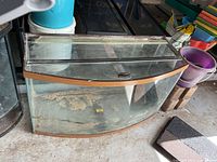 Bow-front glass tank with wood-tone trim, substrate residue visible