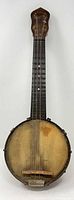 Front full view of banjolele