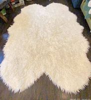 Full view of white shag rug showing size and shape