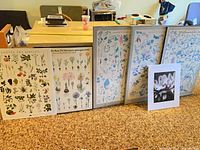 Six botanical posters on foam board leaning against table