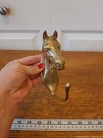Front view of brass horse head hook with ruler for scale