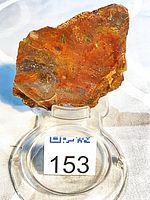 Front view of chert specimen on stand showing overall size and coloration