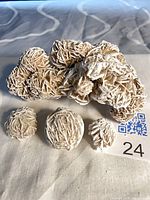 Large desert rose gypsum cluster with three smaller nodules