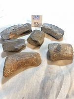 Group of six fossil Dugong rib sections with scale marker