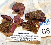 Group of five purpurite pieces with label and scale