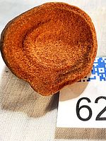 Overall view of the stromatolite fossil with QR code and lot tag