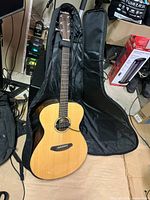 Breedlove acoustic guitar in open gig bag with cables visible