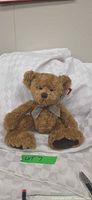 Front view of brown plush teddy bear sitting upright