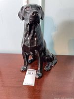 Front view of glossy black Beswick Labrador figurine on table with measuring reference
