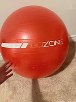 Red GOZONE exercise ball showing logo and surface detail