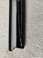 Necklace laid in black case showing full chain and pendant