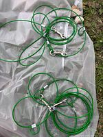 Both green coated steel cable dog leashes coiled with metal snap hooks visible
